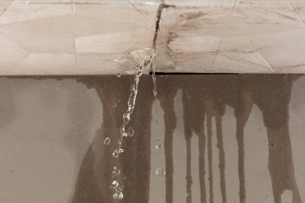 Professional Structural Drying technician working in Wellman, TX